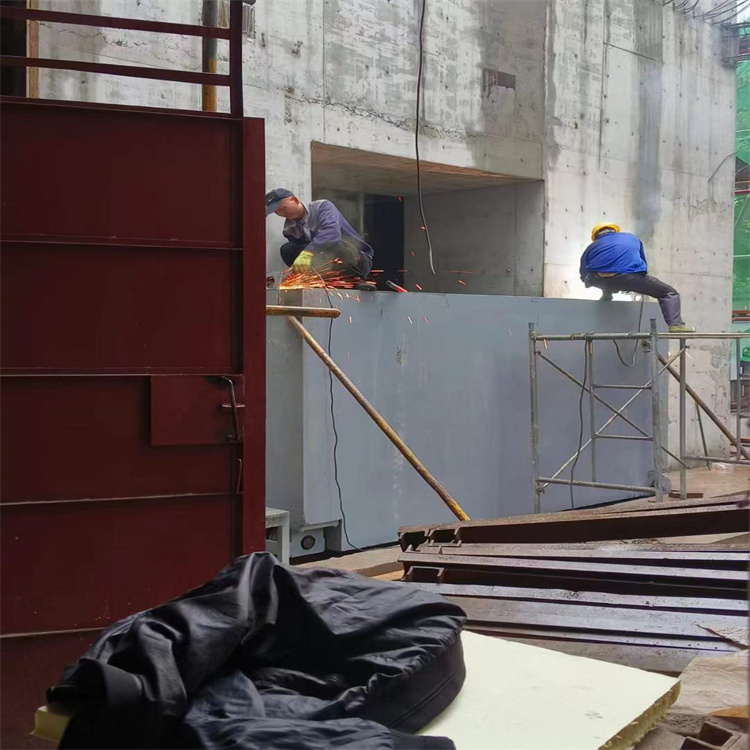 济南聊城阳谷铅门生产厂家：高强度铅门的应用